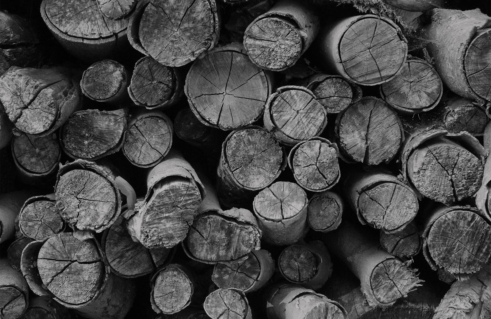 Black and white image of a wood pile